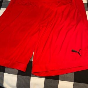 Puma Red Athletic Shorts Lightweight Performance